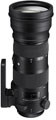 Sigma 150-600mm f5-6.3 DG OS HSM (Canon Fit) S Lens With 1.4x Teleconverter